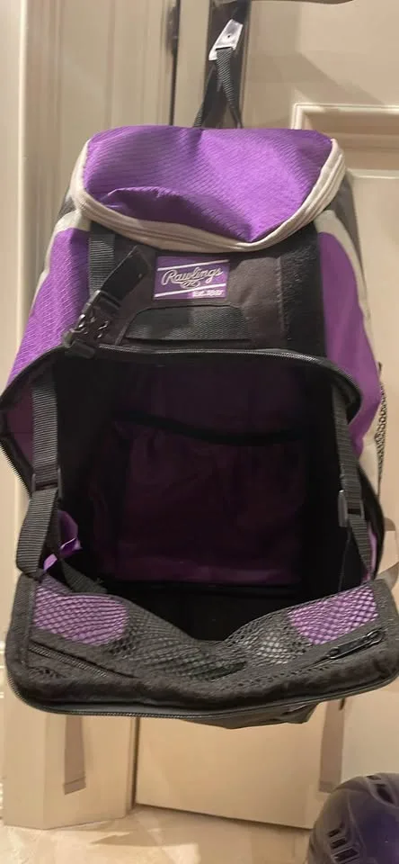 Rawlings Girls Baseball Bag and Helmet image indicator(2)