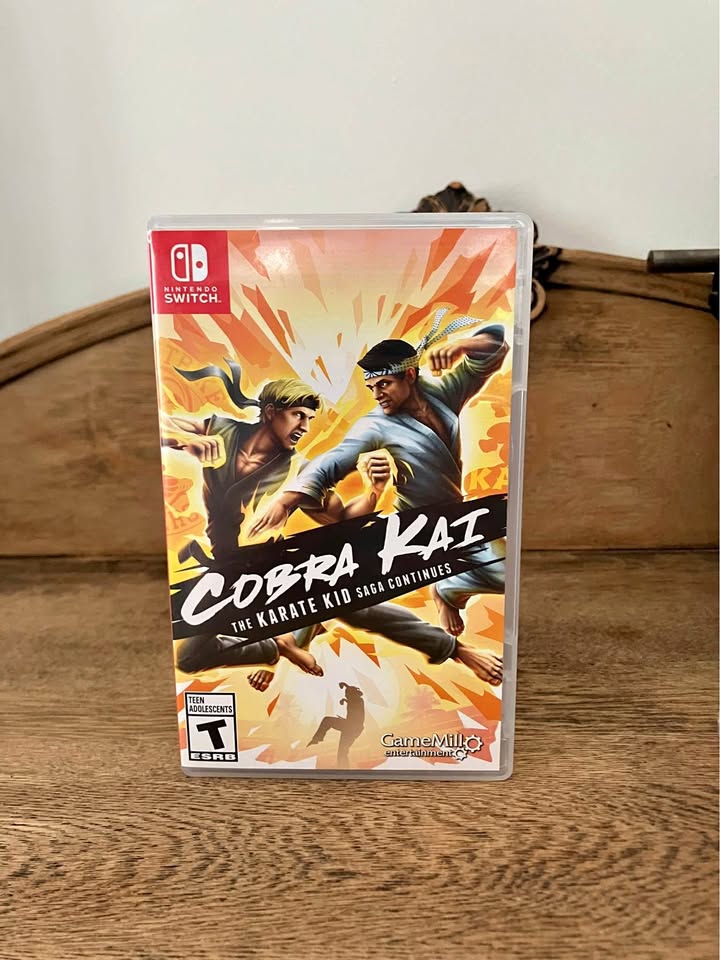 Cobra Kai The Karate Kid Saga Continues Nintendo Switch