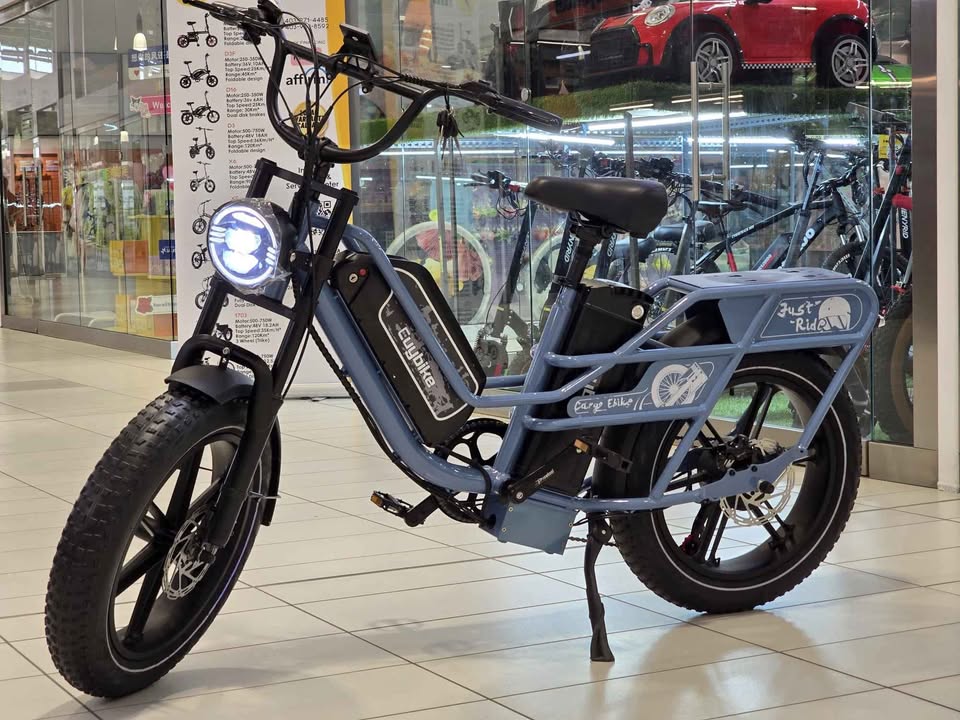 EUY W1 DUAL BATTERY 60AH EBIKE 48V 30Ah×2