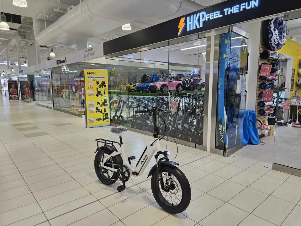 Spring Sale Hidoes BF-1 Electric Bike - Foldable image indicator(5)