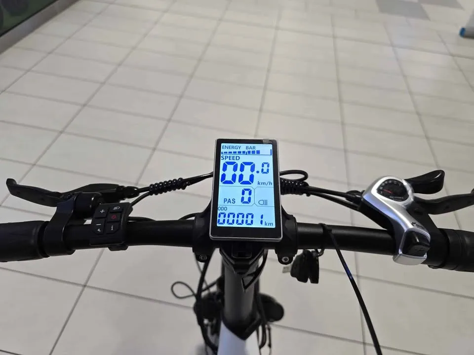 Spring Sale Hidoes BF-1 Electric Bike - Foldable image indicator(10)