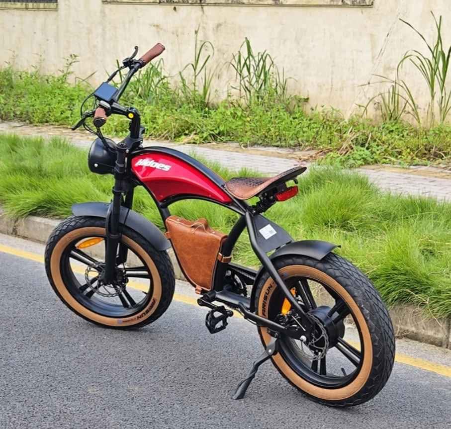 B-10 Electric Bike 1000-1500* watt - photo 2