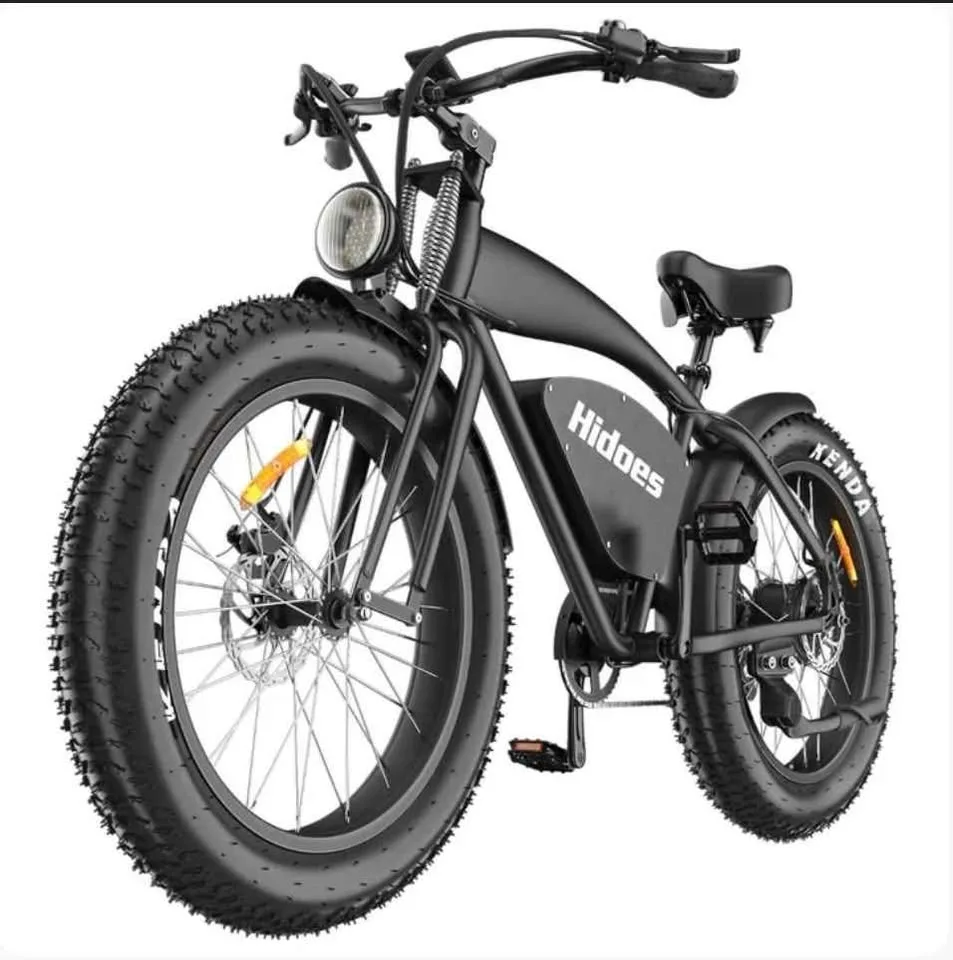 Hidoes B-3 Powerful Electric Bike 1200W image indicator(2)