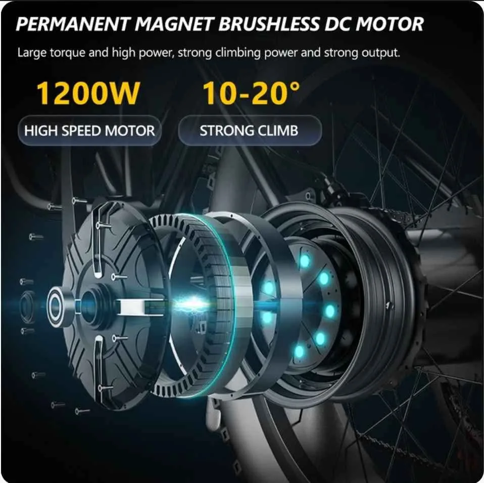 Hidoes B-3 Powerful Electric Bike 1200W image indicator(3)