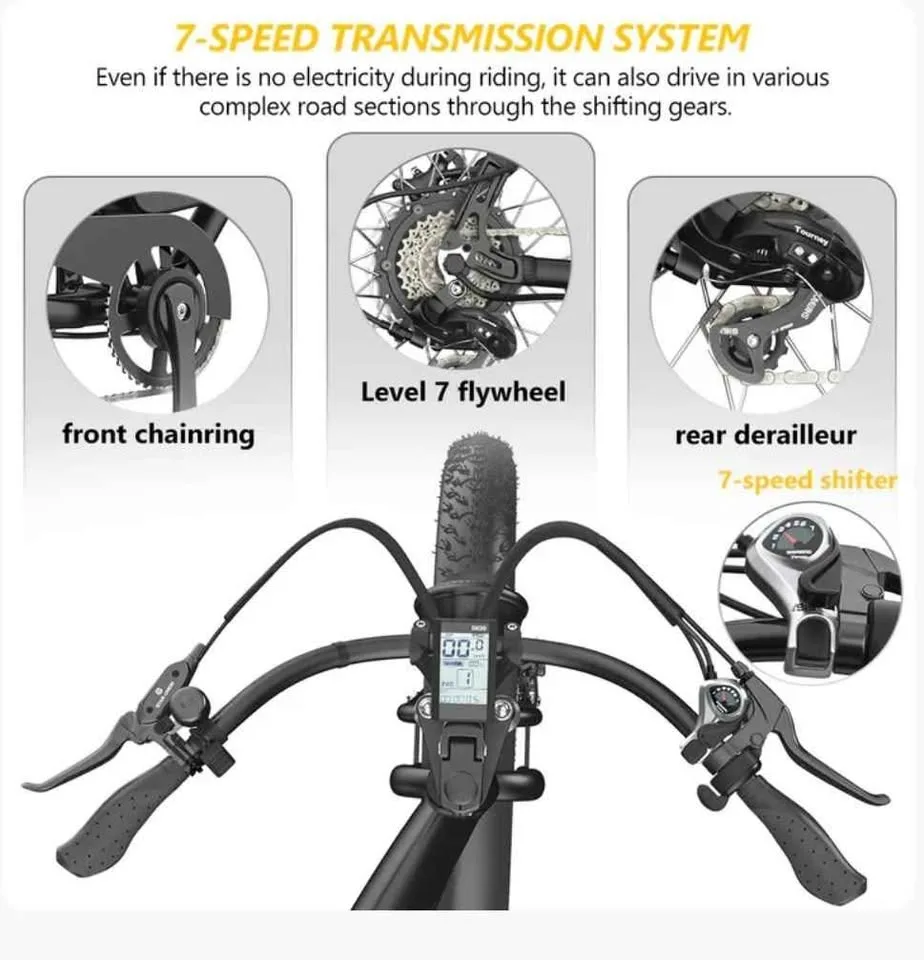 Hidoes B-3 Powerful Electric Bike 1200W image indicator(8)