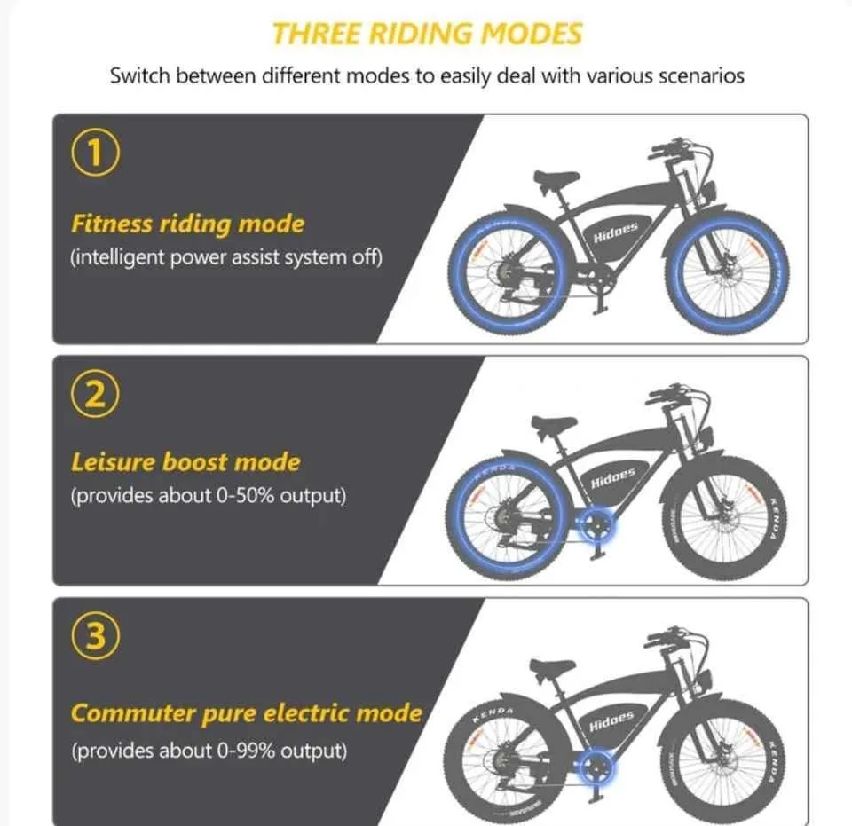 Hidoes B-3 Powerful Electric Bike 1200W image indicator(9)