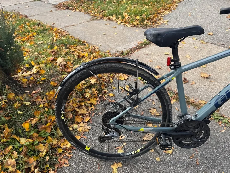 Giant Roam 2 hybrid bike S image indicator(3)