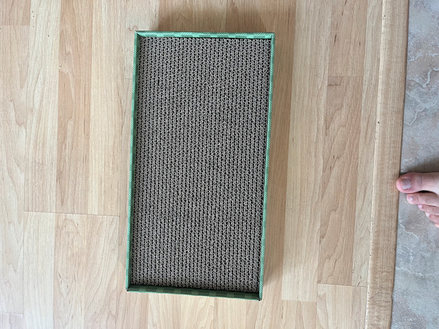Cat scratch pad