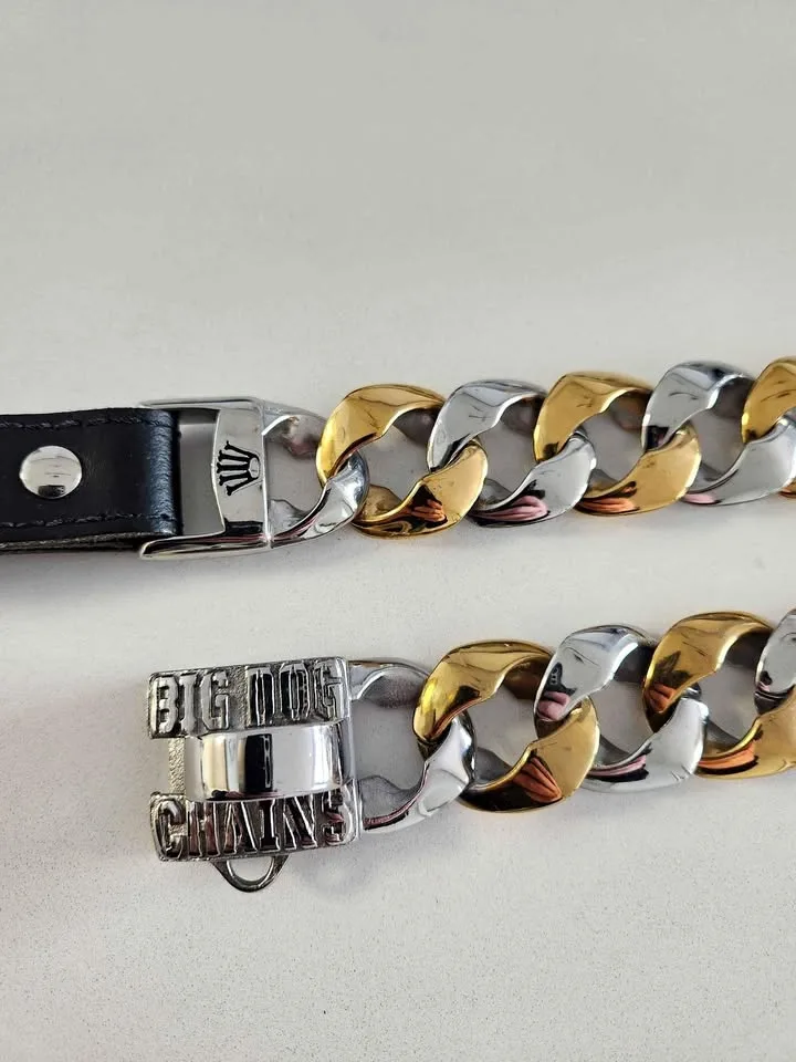 Big Dog Chains collar and leash for sale!