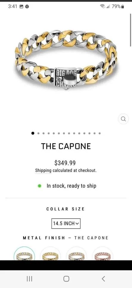 Big Dog Chains collar and leash for sale! image indicator(5)