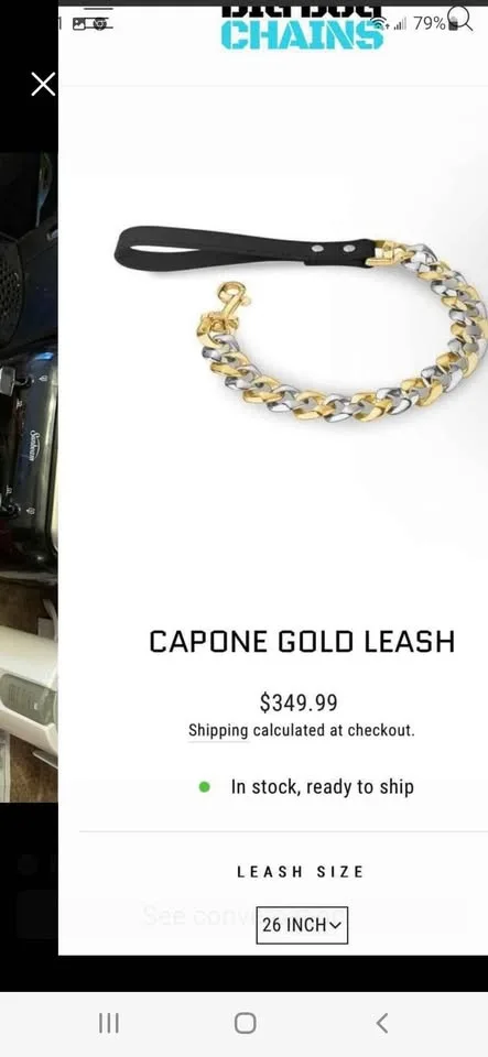 Big Dog Chains collar and leash for sale! image indicator(6)