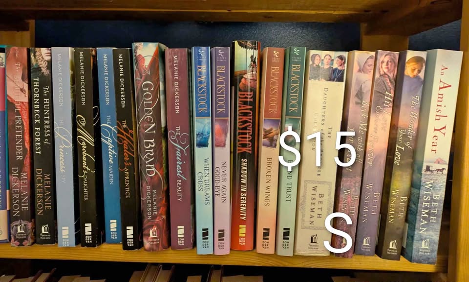 Book lots - Christian Historical Romance Mystery Series