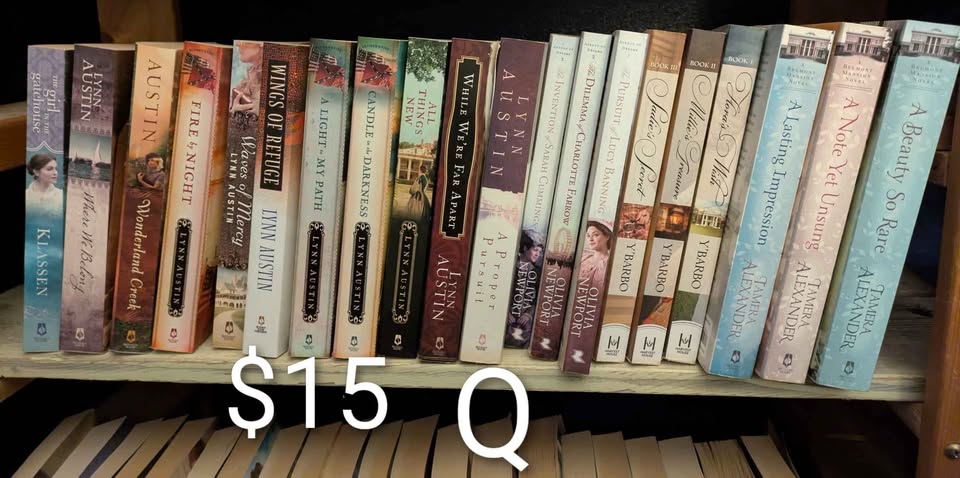 Book lots - Christian Historical Romance Mystery Series - photo 3