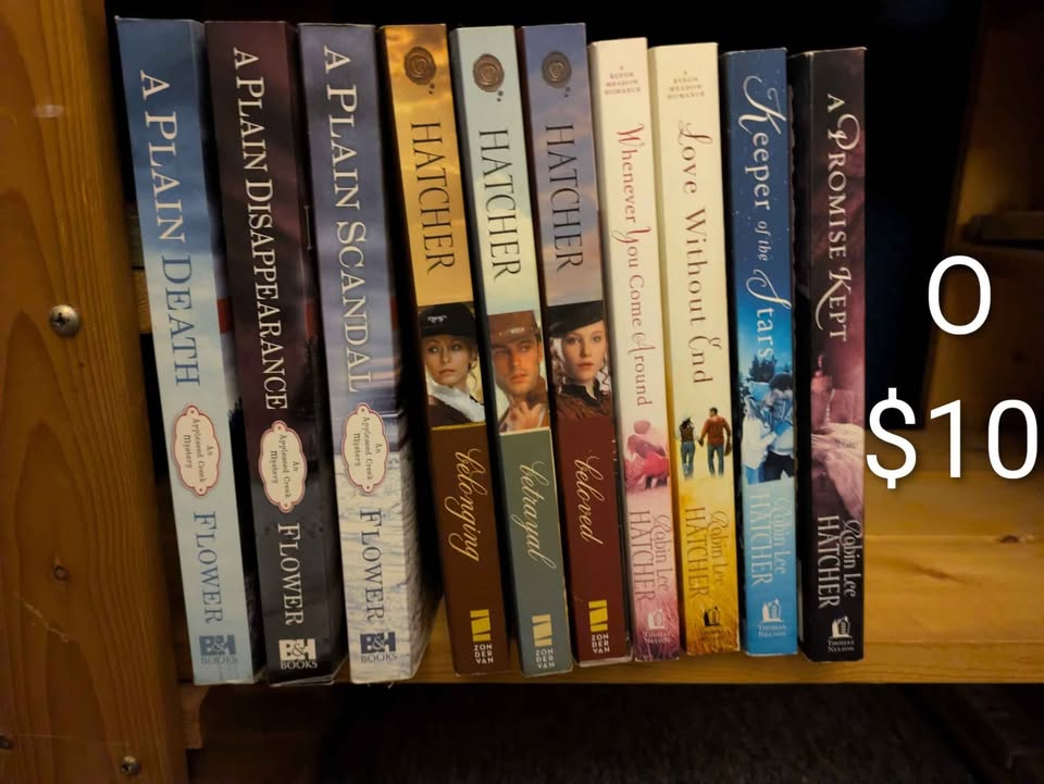 Book lots - Christian Historical Romance Mystery Series - photo 5