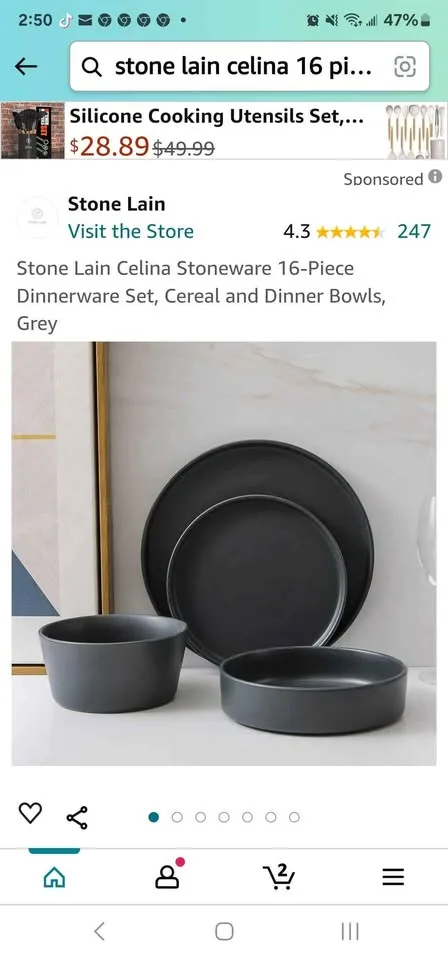 BNIB Stone Lain Celina 12-Piece Dinnerware Set, Gray Matte image indicator(3)