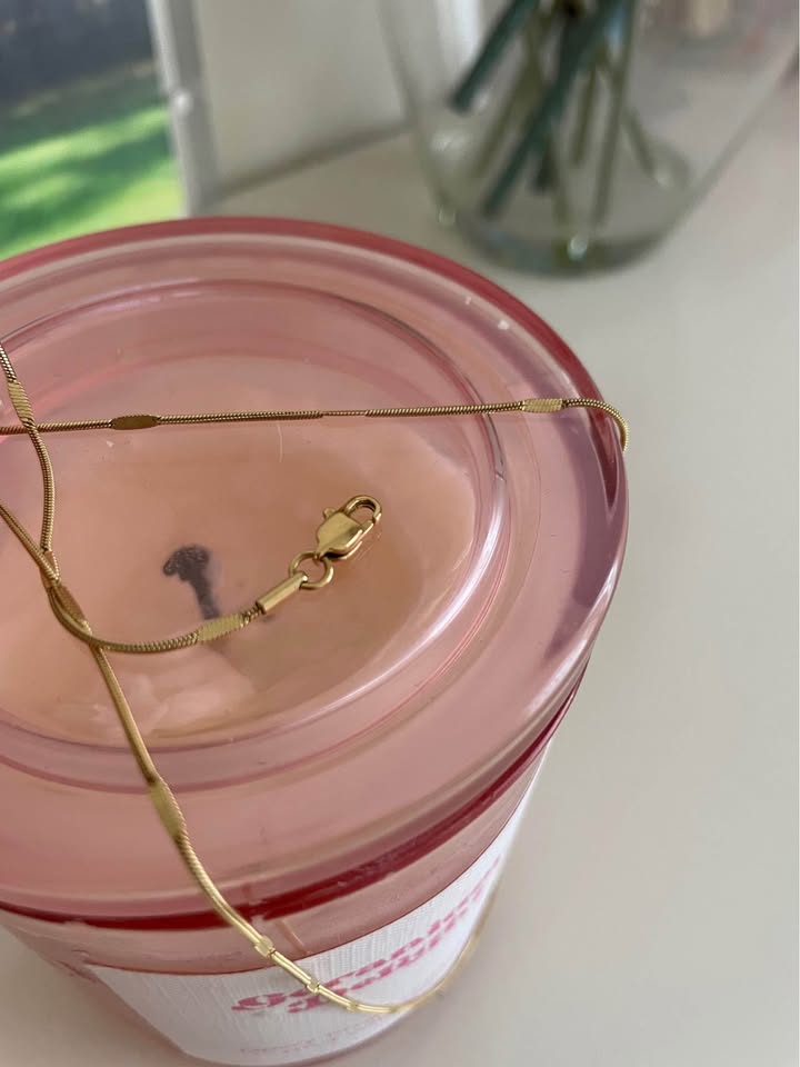 Jenny Bird Micro Snake Chain necklace and Bamboo Storage Box. - photo 4