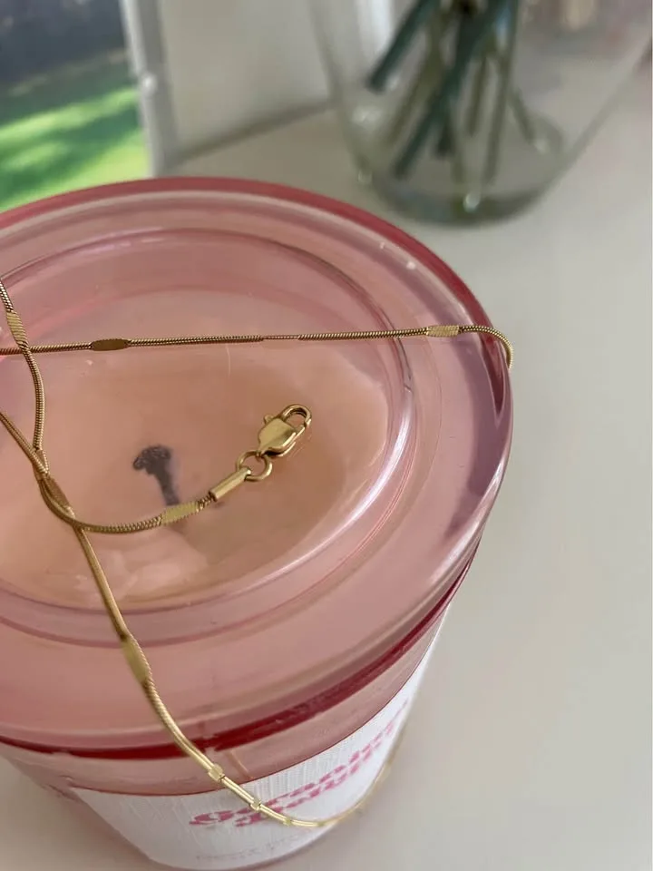 Jenny Bird Micro Snake Chain necklace and Bamboo Storage Box. image indicator(4)