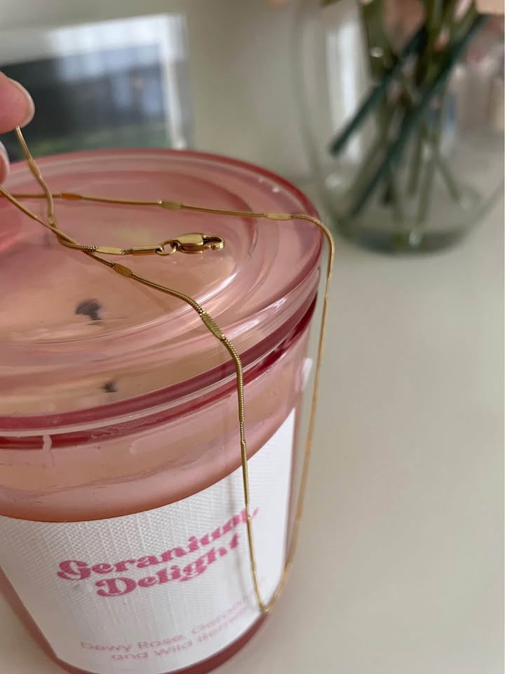 Jenny Bird Micro Snake Chain necklace and Bamboo Storage Box. - photo 5