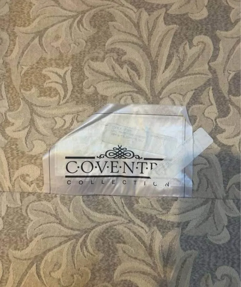 Beige Upholstered Loveseat by Coventry image indicator(3)