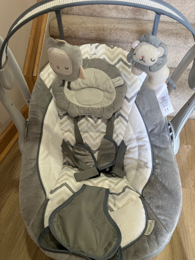 Ingenuity Baby Swing - photo 2