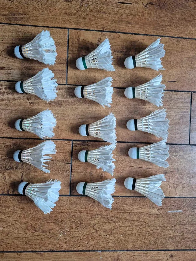 Badminton feather shuttlecock image indicator(2)