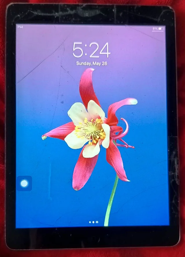 Ipad 2nd generation image indicator(2)