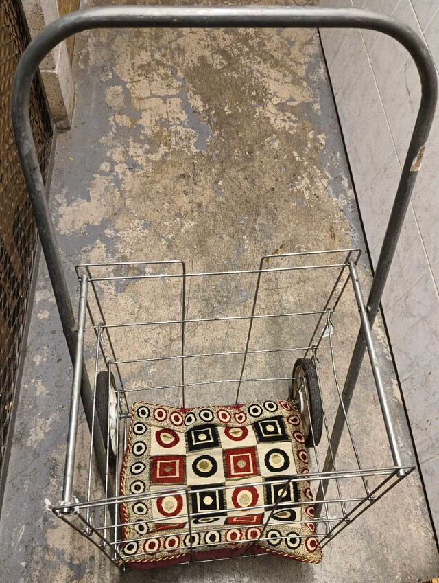 Shopping cart - photo 2