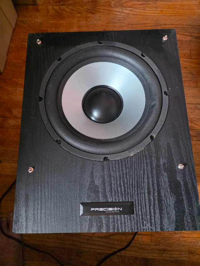 Precision Acoustics HDS10 10" Subwoofer 150W Tested working - photo 2