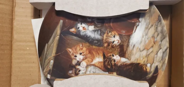 9 X Bradford Collector Plates CATS/DOG image indicator(5)