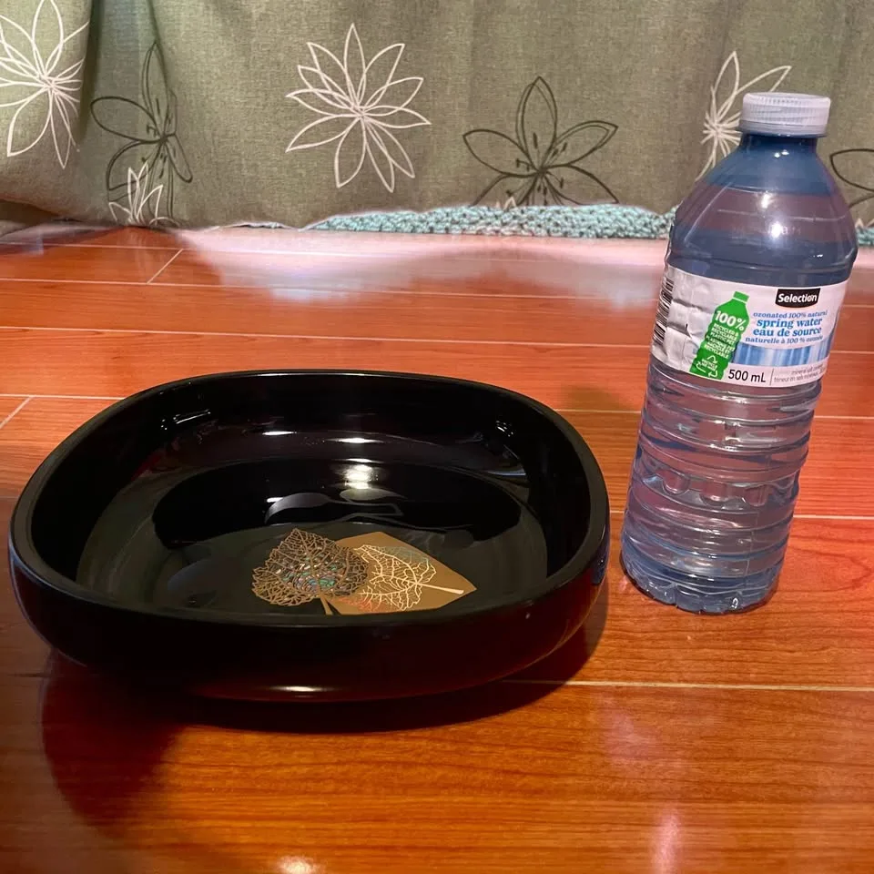 Kansai Yamamoto Lacquered Candy Dish image indicator(7)