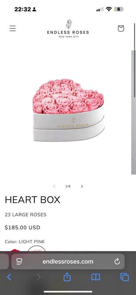 ENDLESS ROSES Heart Box (Light Pink) – 23 Preserved Roses thumbnail