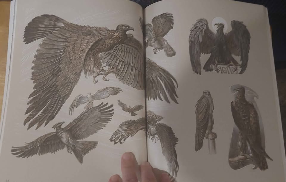 Fantasy Beasts art resource book - photo 5