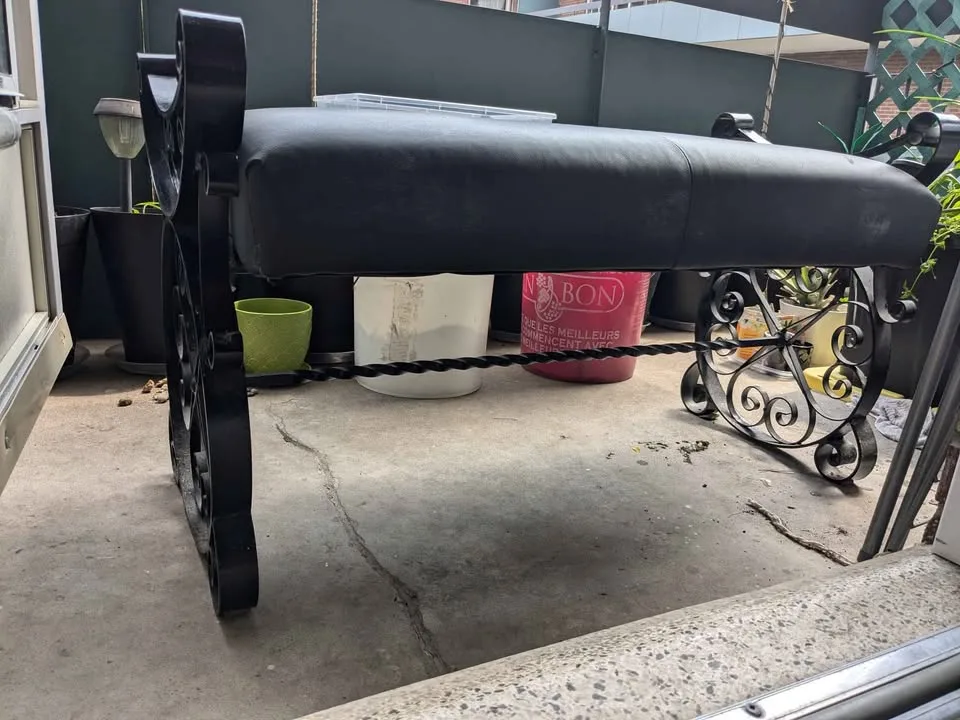 Iron bench with black material cushion🥕 image indicator(2)