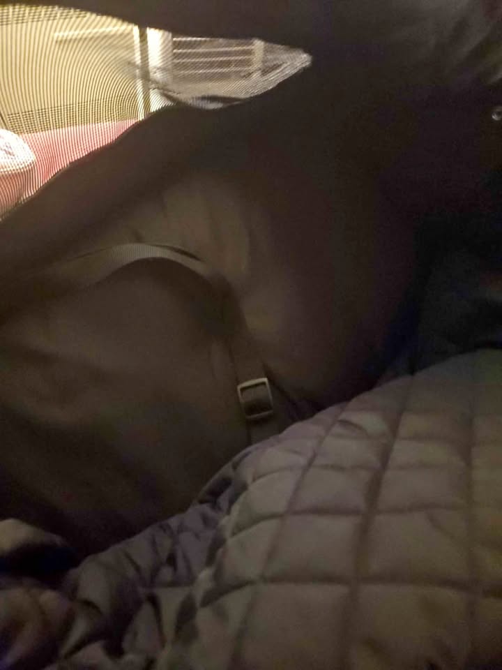 Pet Carrier bag