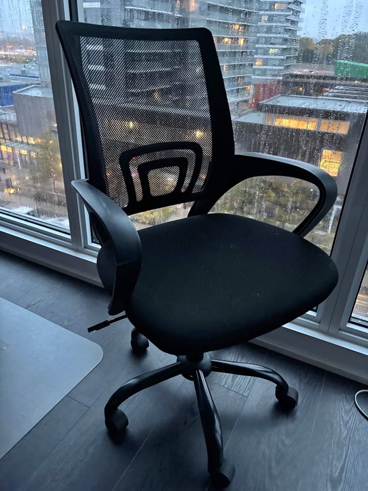 Home Office Ergonomic Chair