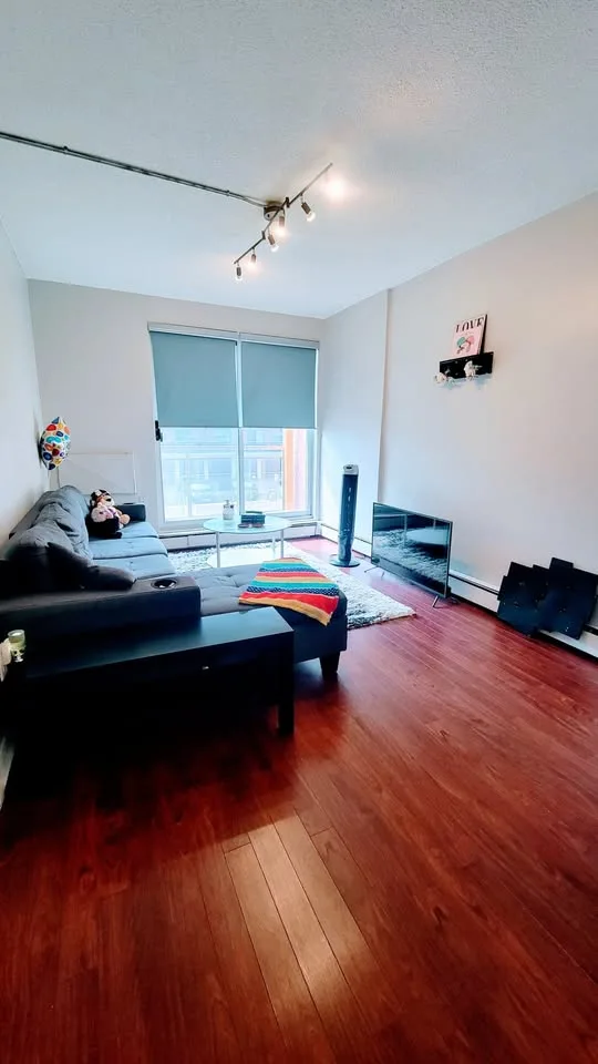 1 bed 1 bath Flat image indicator(9)