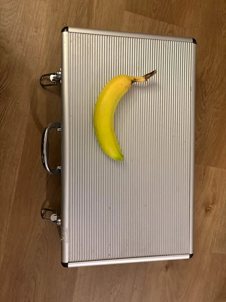 stainless steel BBQ tool set in a carrying case. image indicator(3)