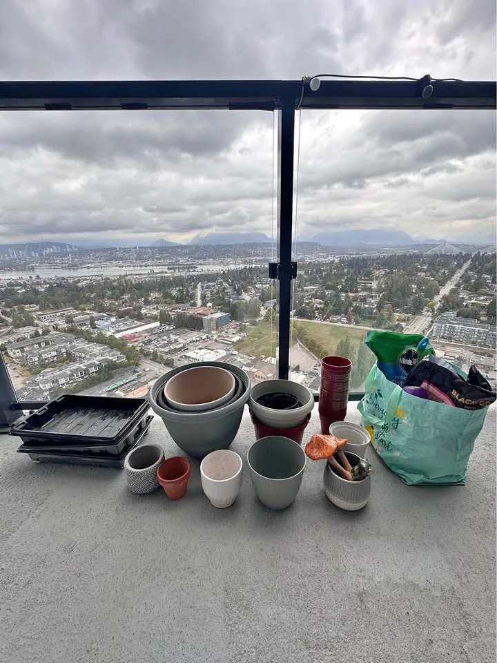 Gardening and Plant Haul Tools Potters thumbnail