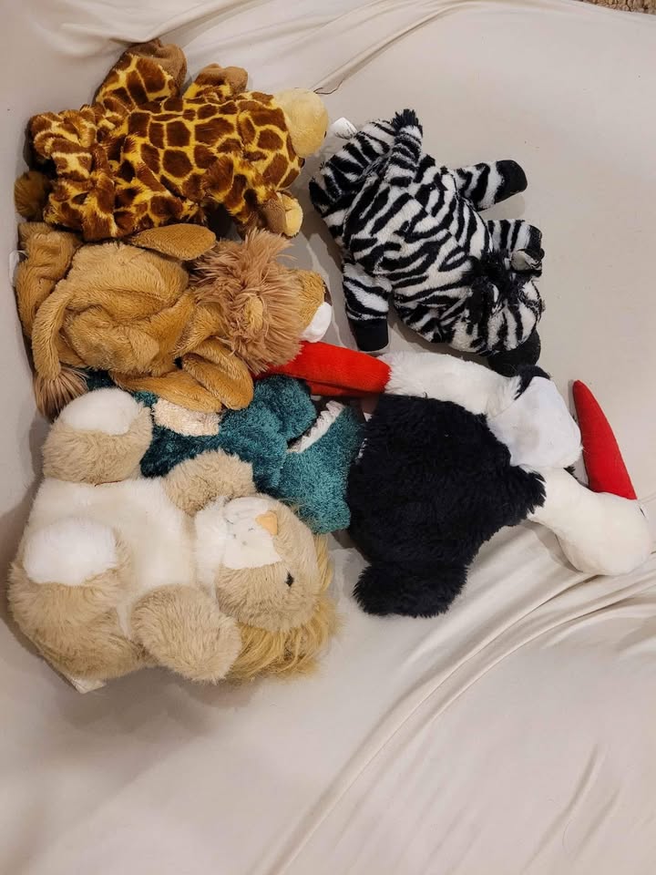 6 Puppets For Storytelling