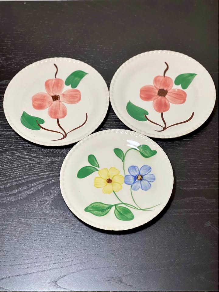 Blue Ridge Southern Potteries Vintage Plates