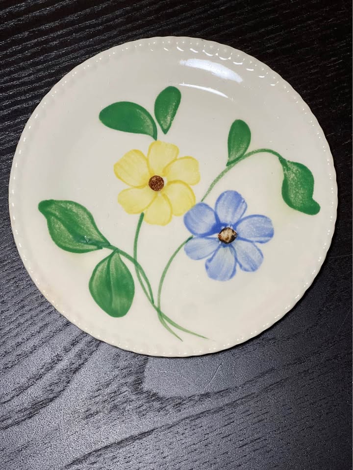 Blue Ridge Southern Potteries Vintage Plates - photo 3
