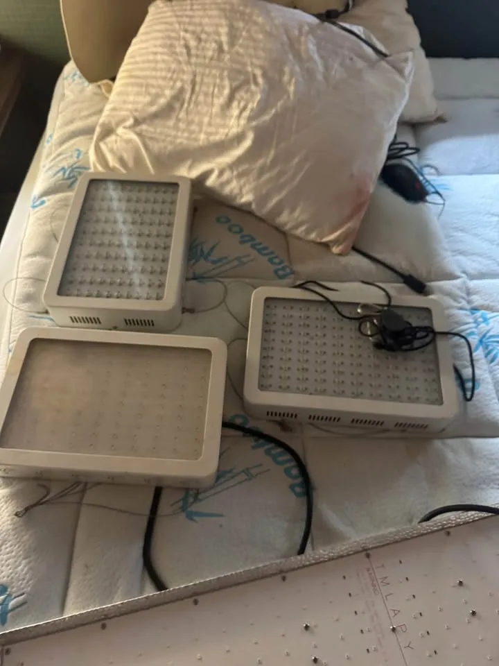 Grow lights image indicator(4)