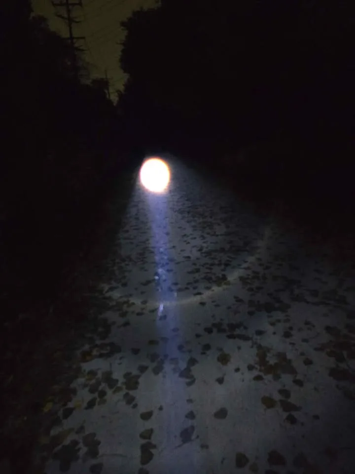 Flashlight, super bright LED, rechargeable usb-c (for 1) (SL301) image indicator(9)