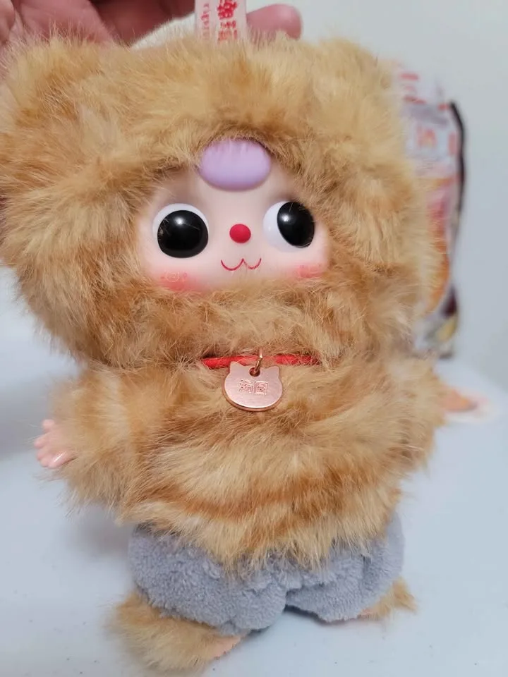 Bb3 Baby three orange tabby cat Who's Cat Is This? image indicator(2)