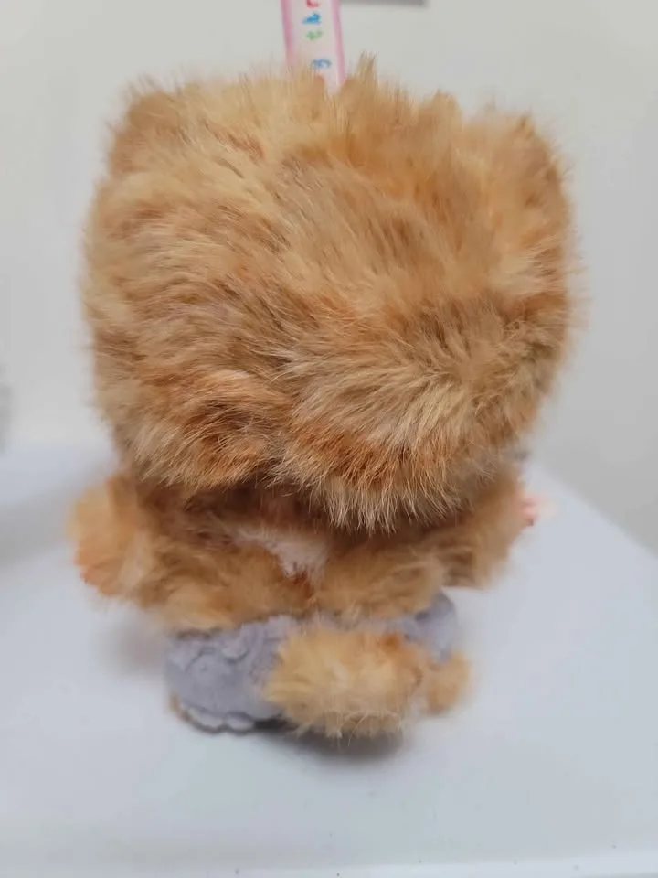 Bb3 Baby three orange tabby cat Who's Cat Is This? image indicator(3)