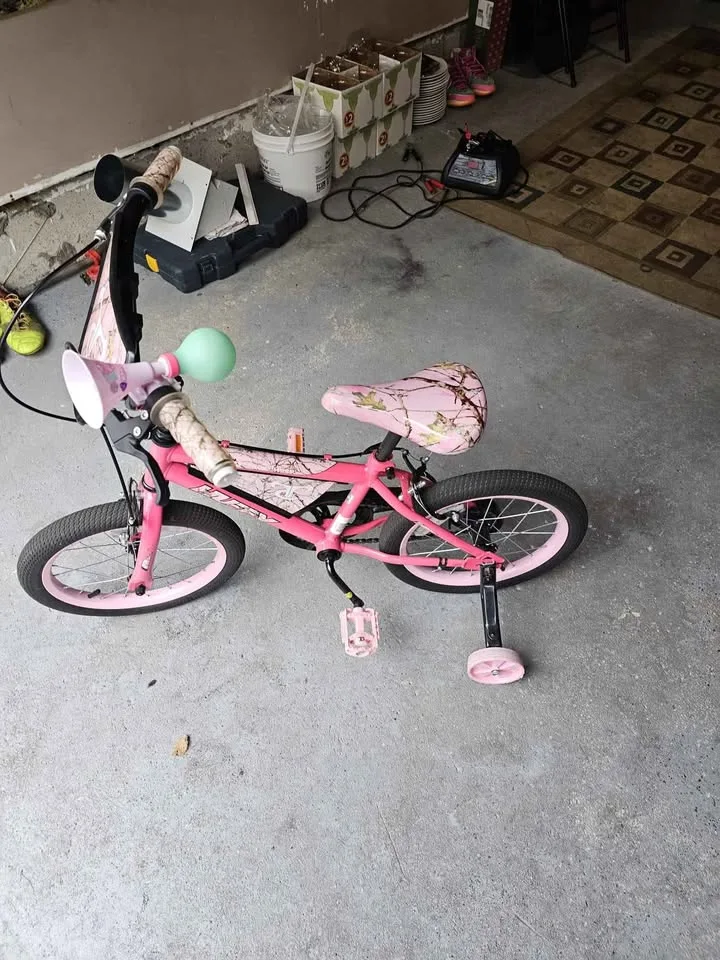 Girls bike image indicator(2)