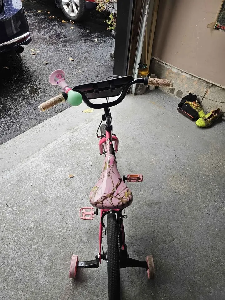 Girls bike image indicator(3)