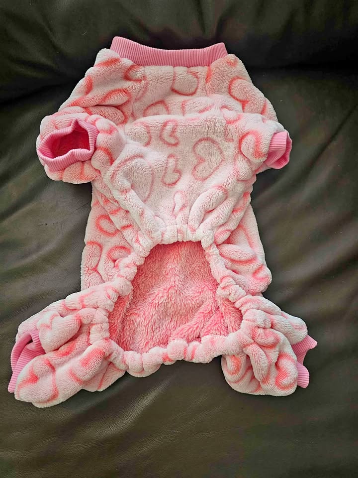 Dog clothes Pick Up Markham &Eglinton