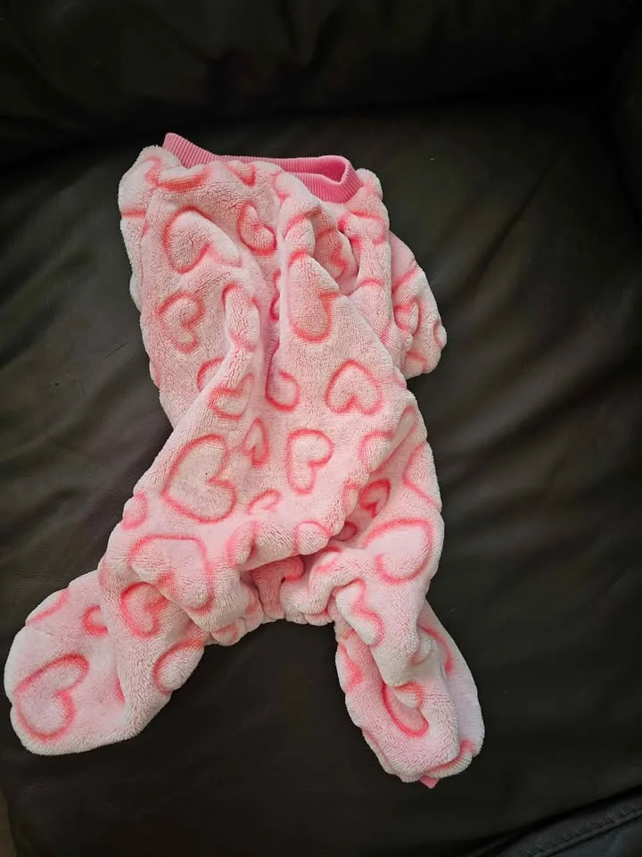 Dog clothes Pick Up Markham &Eglinton image indicator(2)