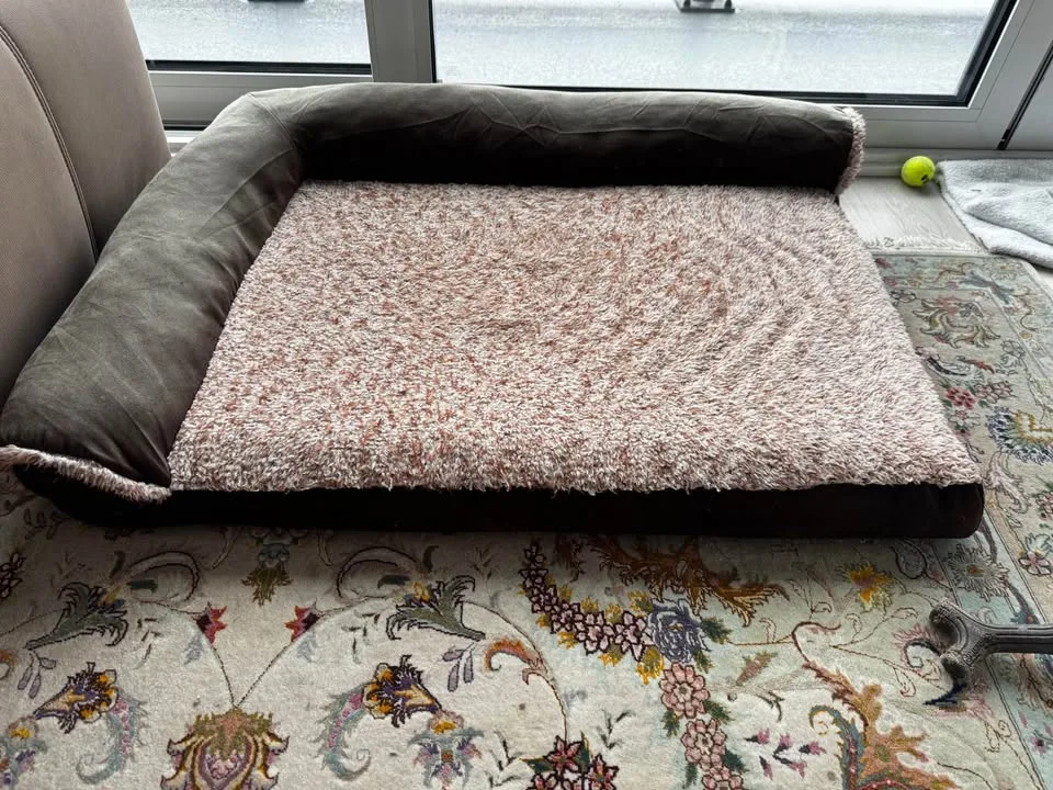 Large dog bed in very good condition image indicator(4)